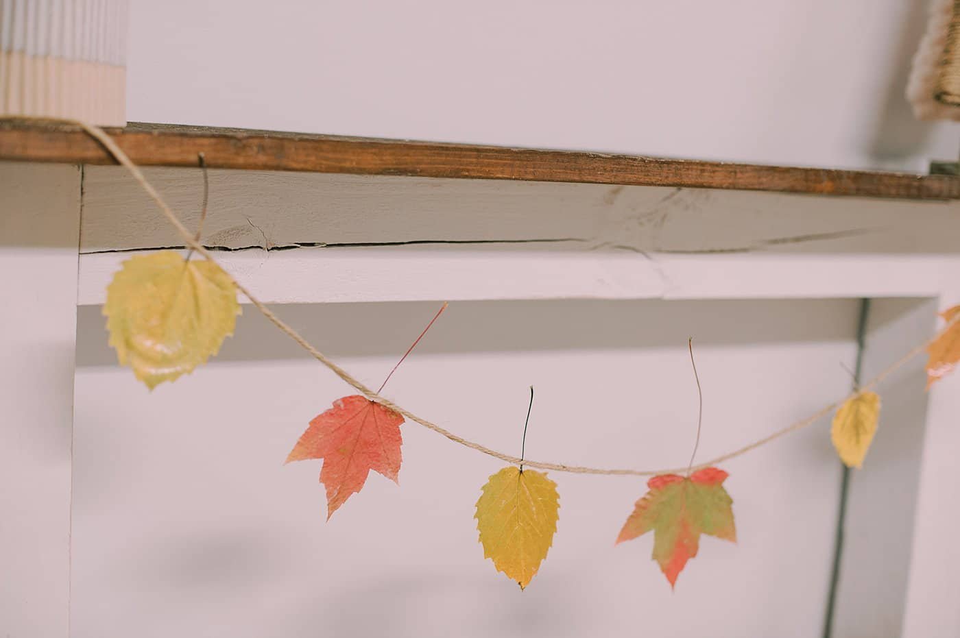 A Mod Podge Leaf Garland.