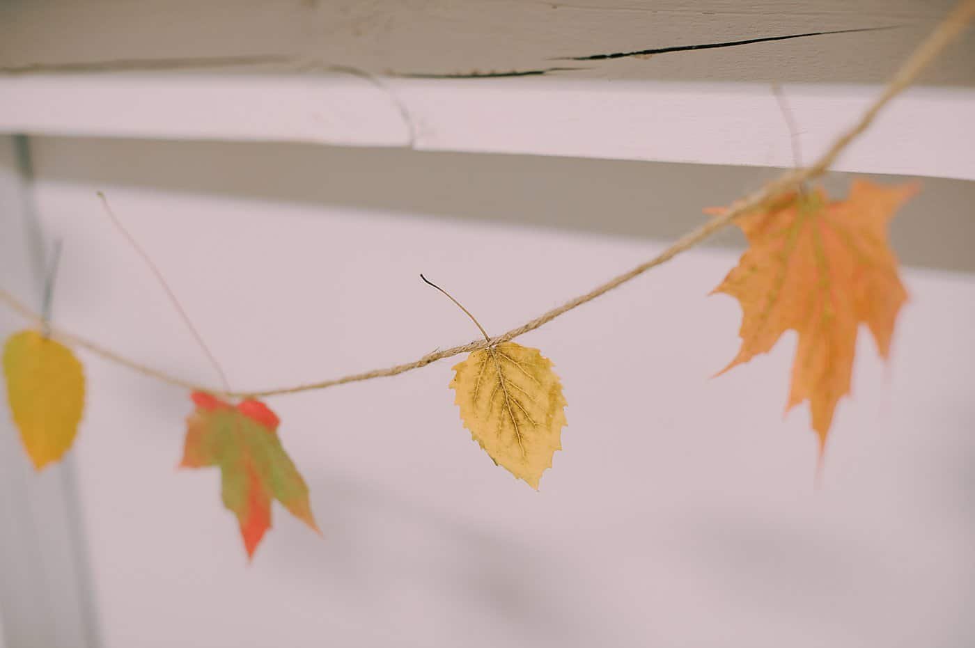 A Mod Podge Leaf Garland with leaves tucked in between the strands of a twine hanging string.