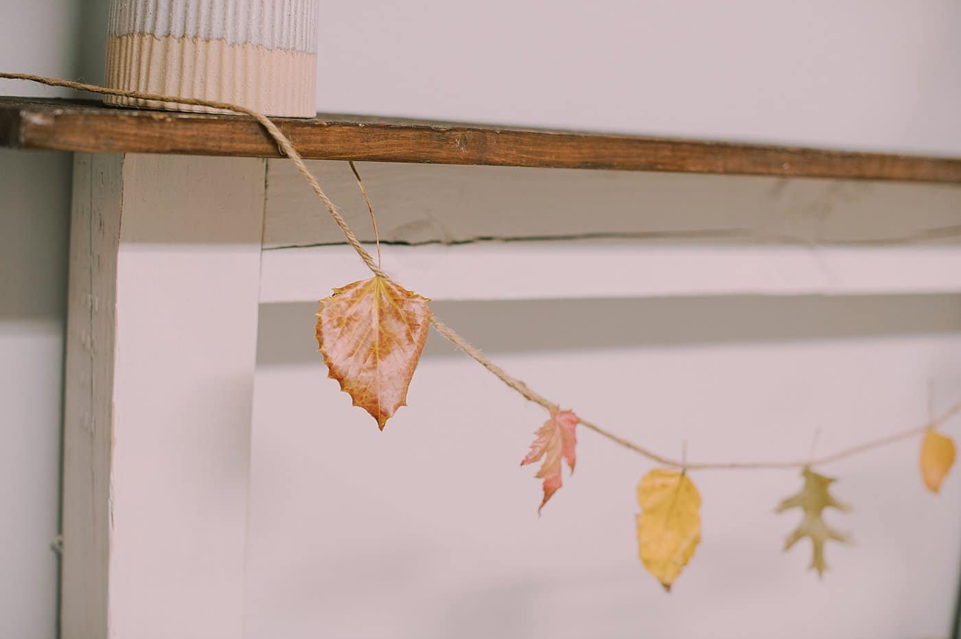Wax coated leaves in a fall garland.