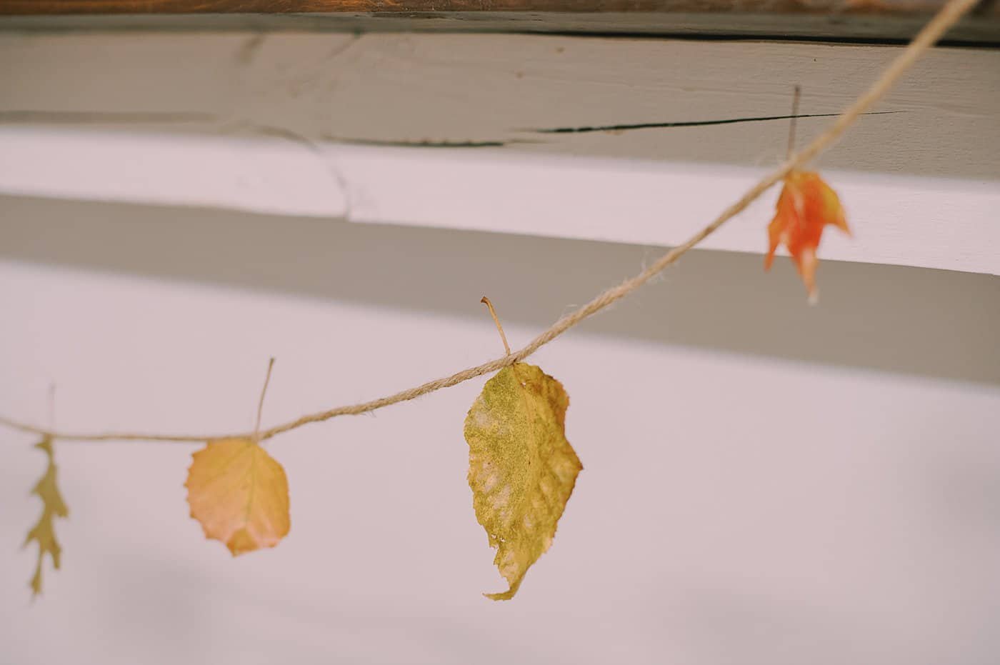 Beeswax coated leaves in a garland.