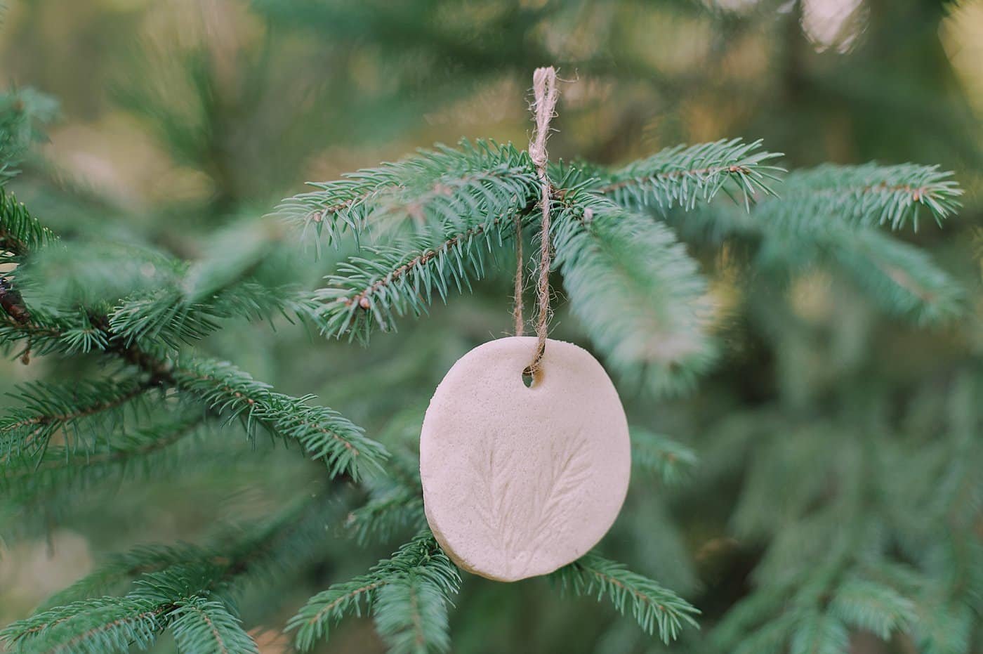 Diy salt dough ornament with pine impression.