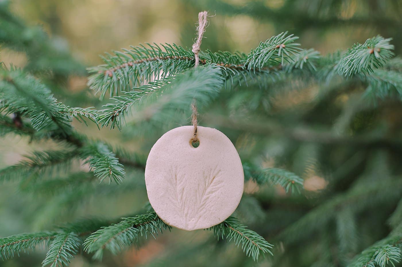 Diy salt dough ornament with pine impression.