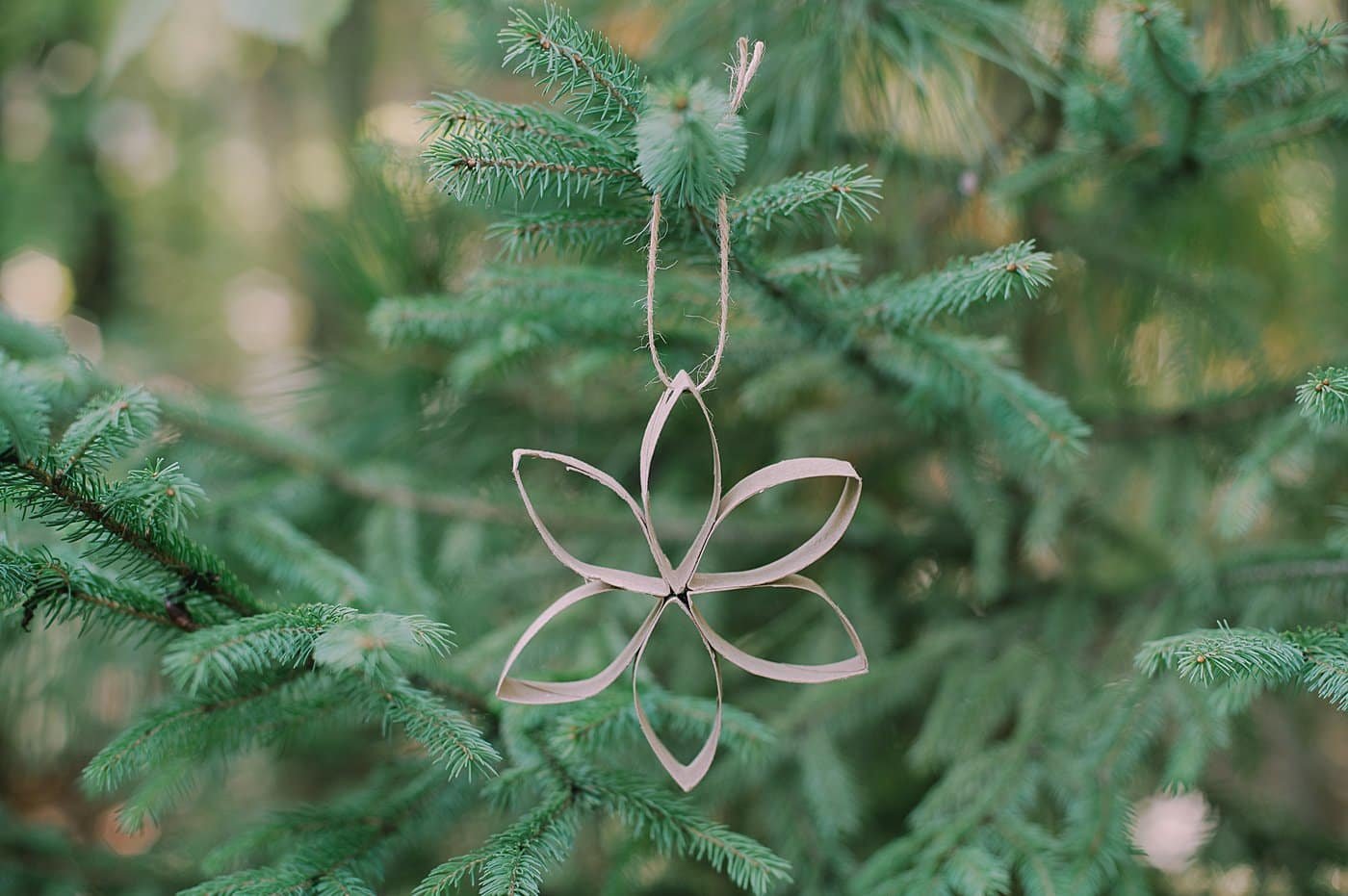 How to make DIY toilet paper roll flower ornaments.