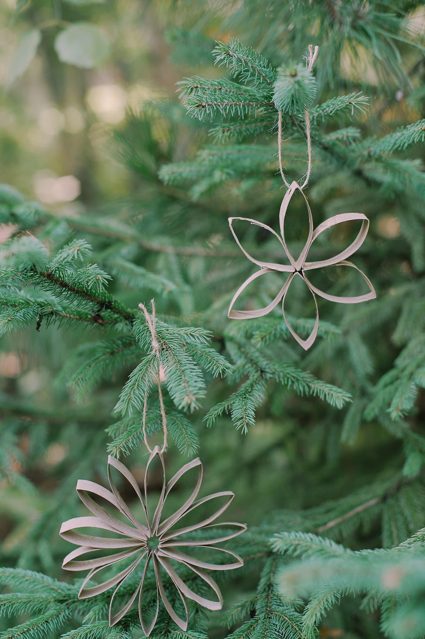 DIY toilet paper roll flower ornaments.