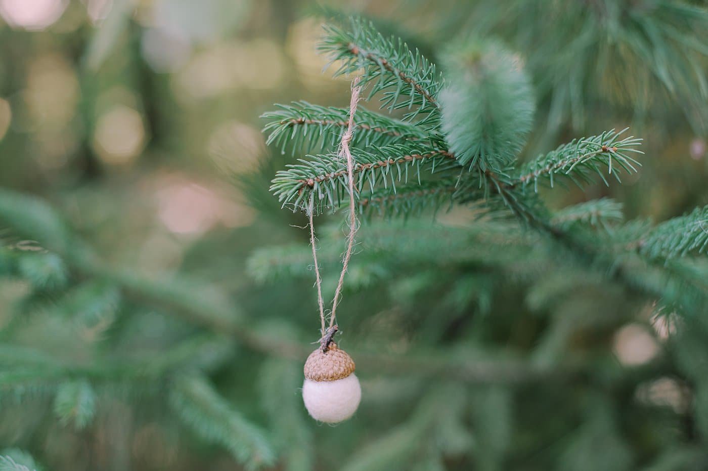 How to make acorn ornaments using acorn caps and felt balls.