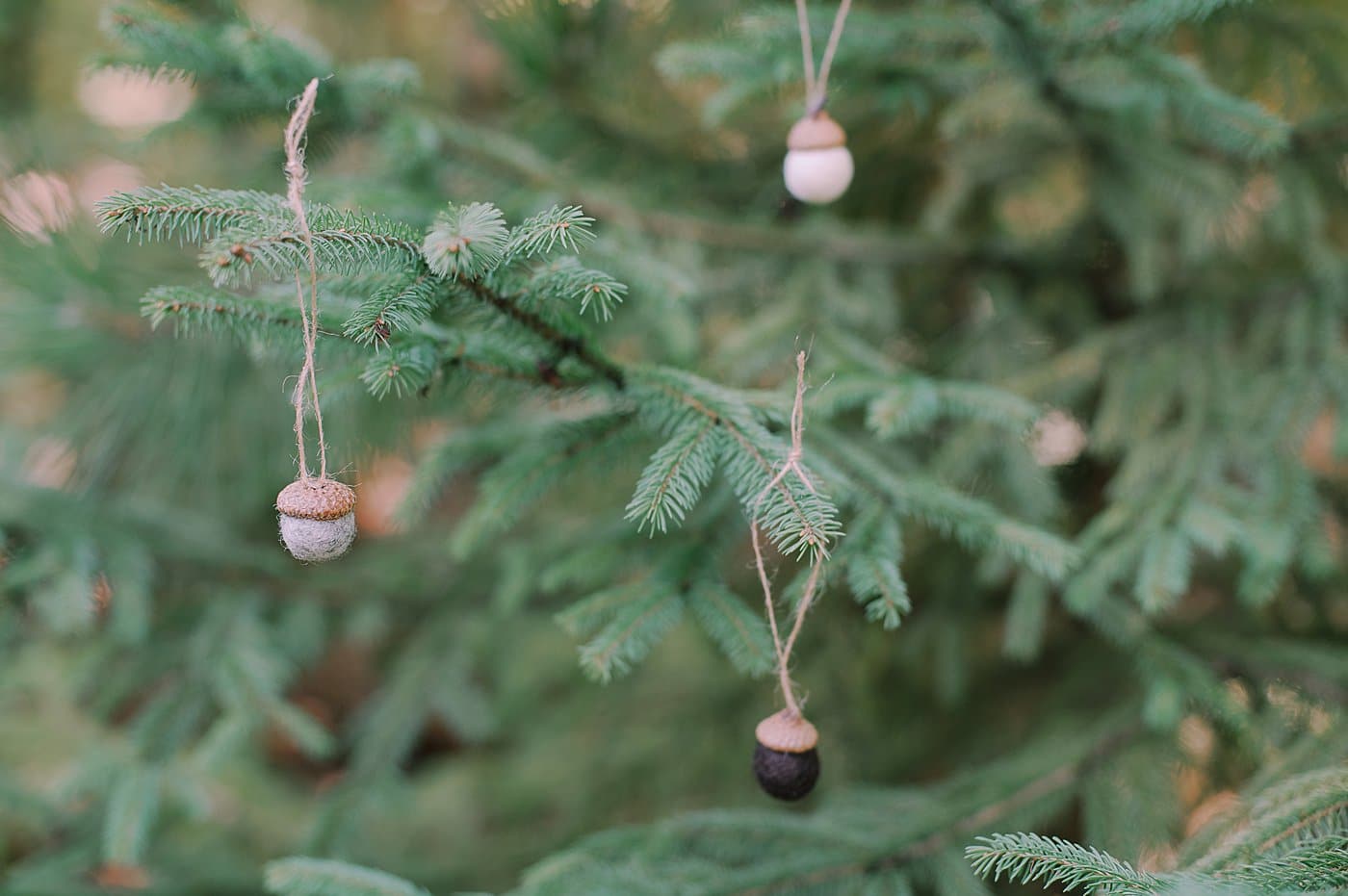 How to make acorn ornaments using acorn caps and felt balls.