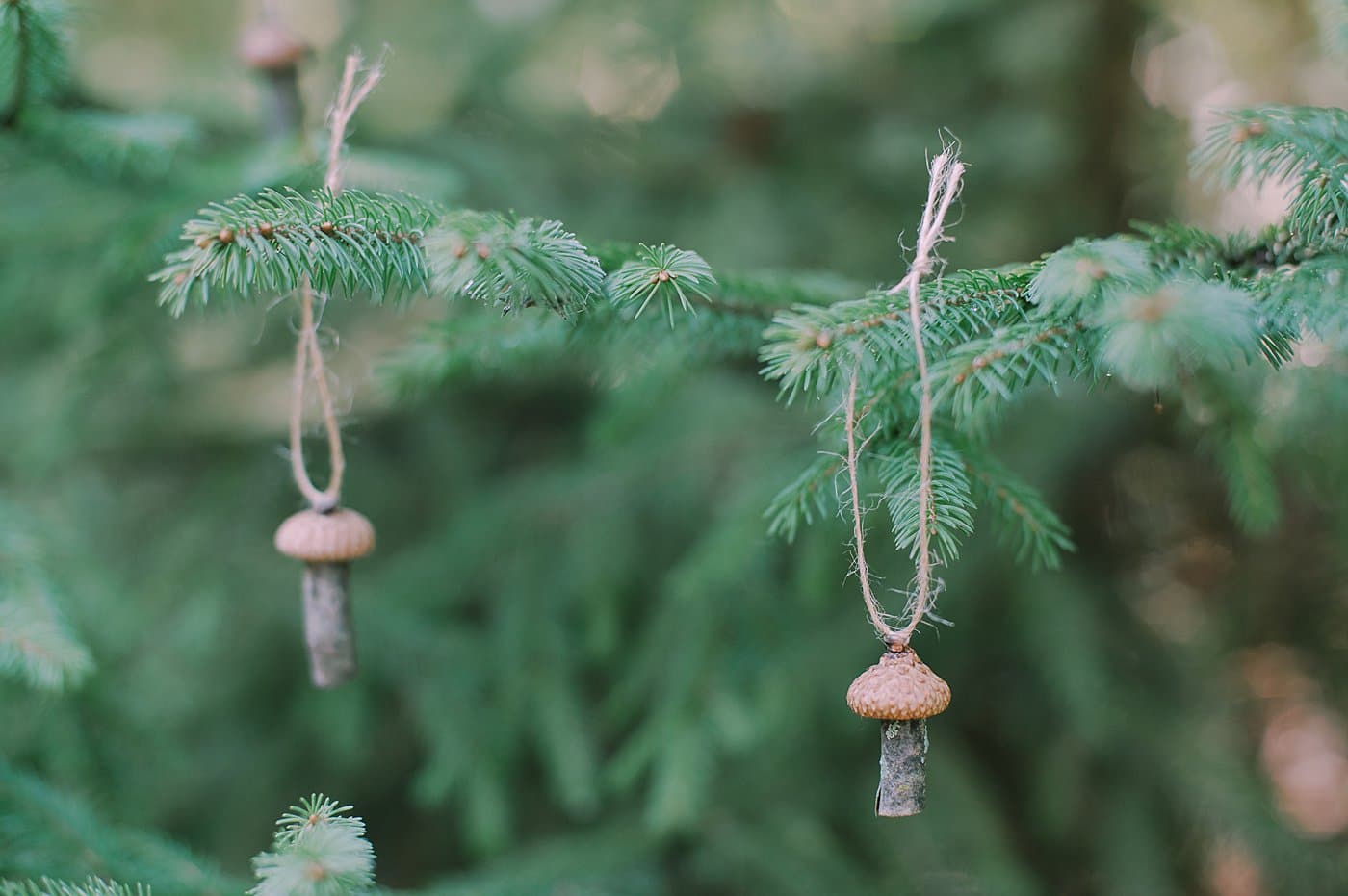 How to Make Acorn Cap Mushroom Ornaments.