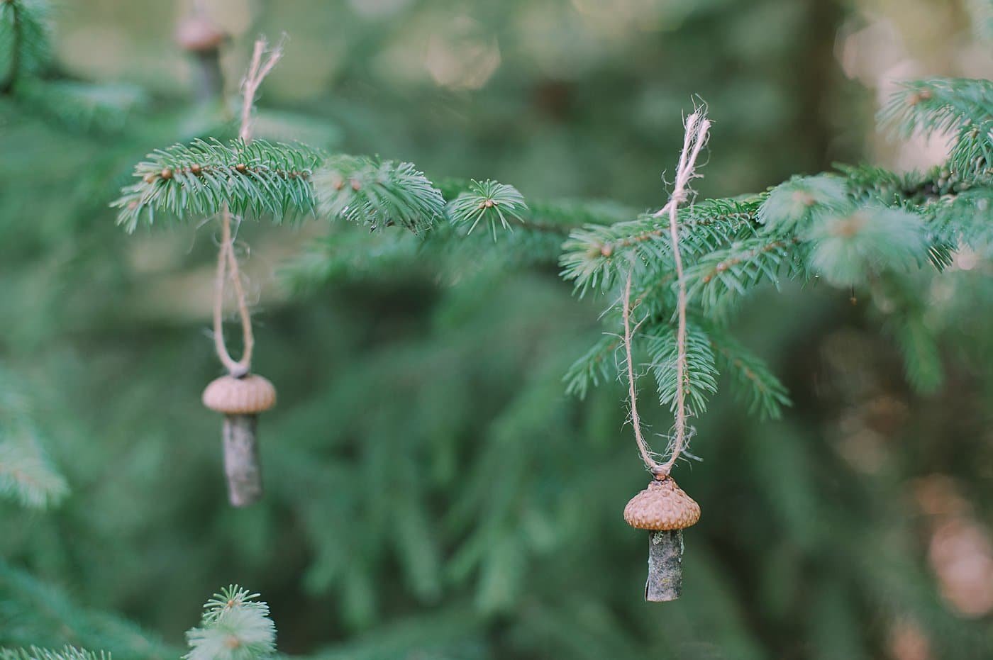 Acorn cap mushroom ornaments with a stick stem and a twine hanging string.