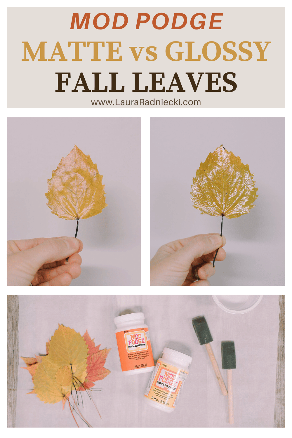 A Look at Matte vs Gloss Mod Podge Fall Leaves