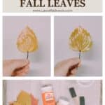 A look at using Matte vs Gloss Mod Podge to preserve fall leaves.