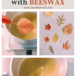 Step by step tutorial how to preserve fall leaves with beeswax by dipping the leaves into melted beeswax and letting them cool.