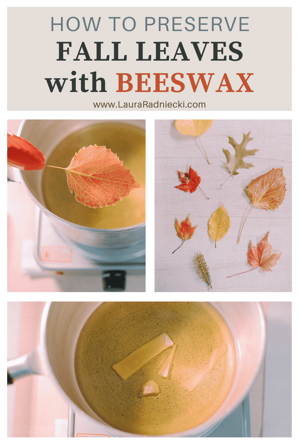 How to Preserve Fall Leaves with Beeswax