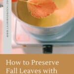 How to Preserve Fall Leaves with Beeswax.