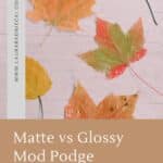 A look at using Matte vs Gloss Mod Podge to preserve fall leaves.