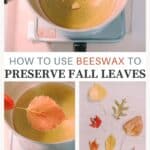 How to Preserve Fall Leaves with Beeswax.