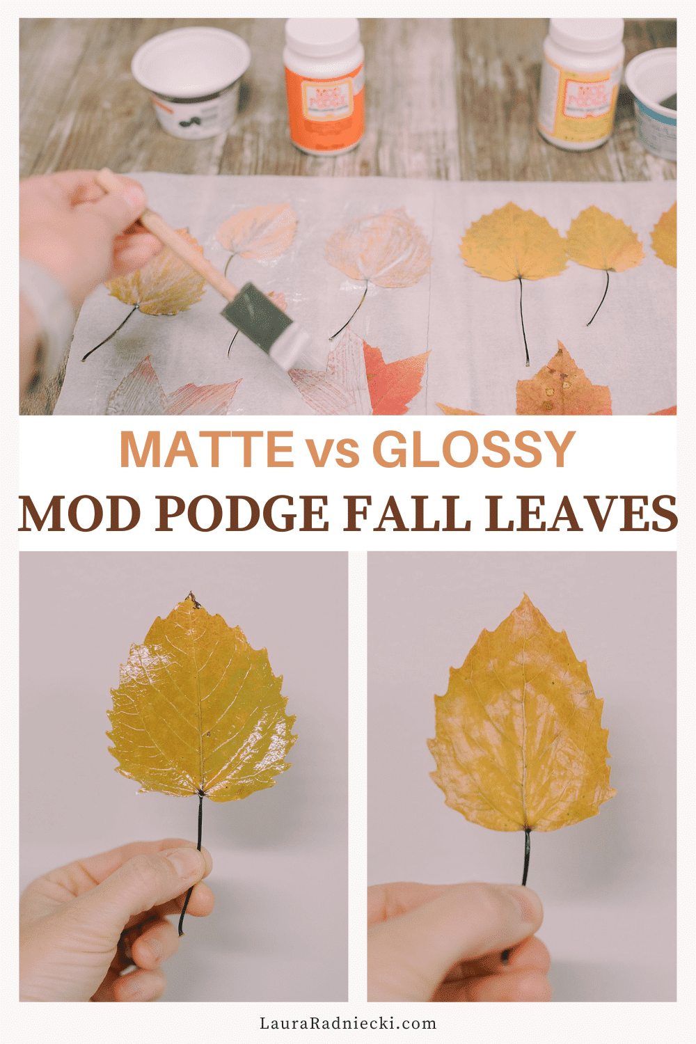 A Look at Matte vs Gloss Mod Podge Fall Leaves