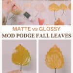 A look at using Matte vs Gloss Mod Podge to preserve fall leaves.