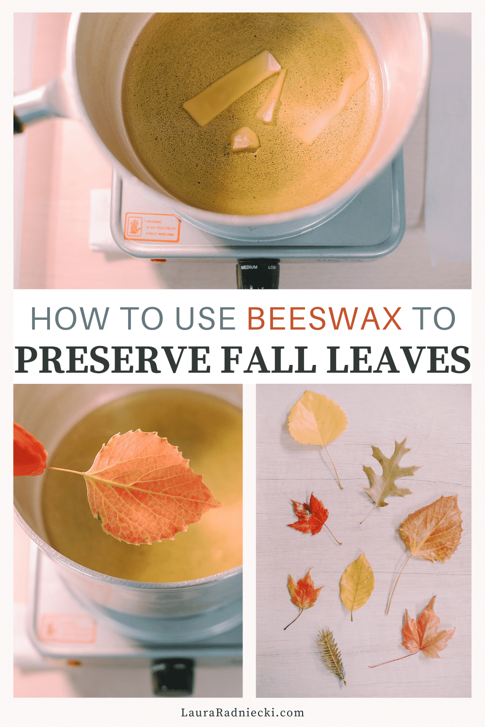 How to Preserve Fall Leaves with Beeswax