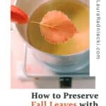 How to Preserve Fall Leaves with Beeswax.