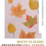 A look at using Matte vs Gloss Mod Podge to preserve fall leaves.