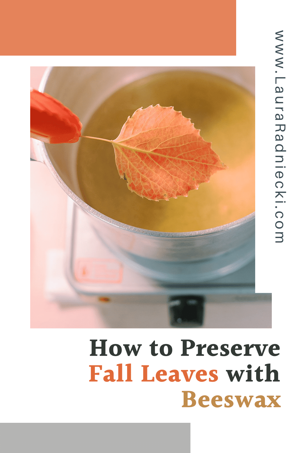 How to Preserve Fall Leaves with Beeswax