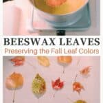 How to Preserve Fall Leaves with Beeswax.