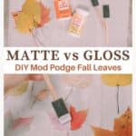 A look at using Matte vs Gloss Mod Podge to preserve fall leaves.