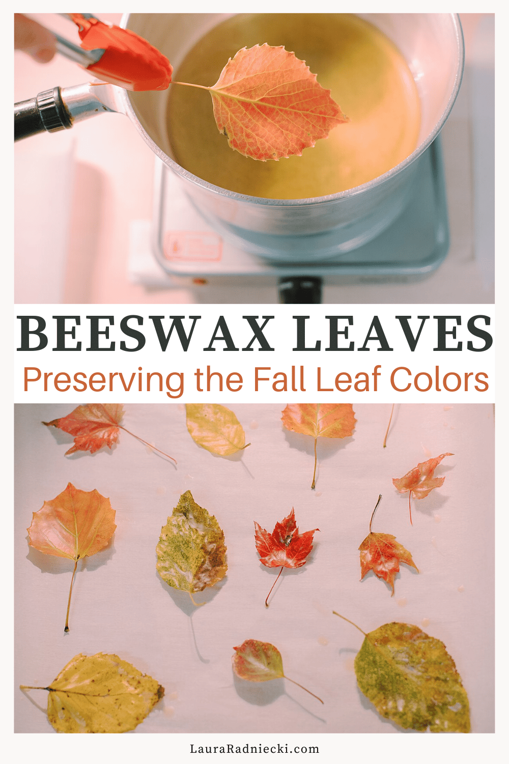 How to Preserve Fall Leaves with Beeswax