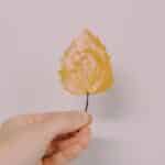 A look at using Matte vs Gloss Mod Podge to preserve fall leaves.