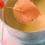 How to Preserve Fall Leaves with Beeswax.