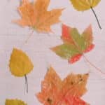 A look at using Matte vs Gloss Mod Podge to preserve fall leaves.