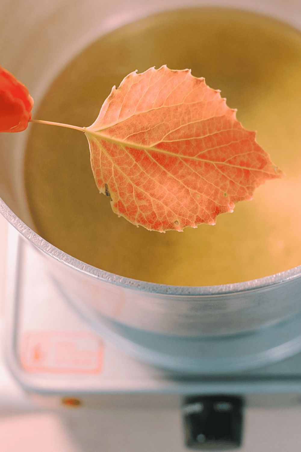 How to Preserve Fall Leaves with Beeswax