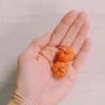 Fall earrings made with felt ball pumpkins.