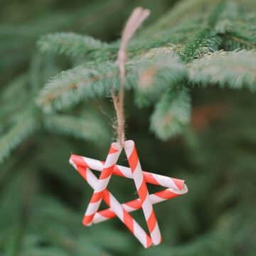 Star Using Straw How to Make Drinking Straw Star Ornaments