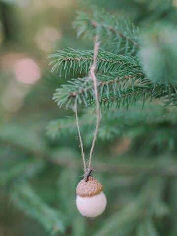 Craft charming Felt Ball Acorn Ornaments effortlessly with our step-by-step guide. Elevate your holiday decor with these adorable DIY creations!