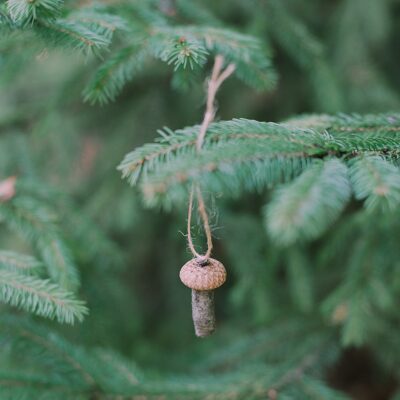 How to Make Acorn Cap Mushroom Ornaments