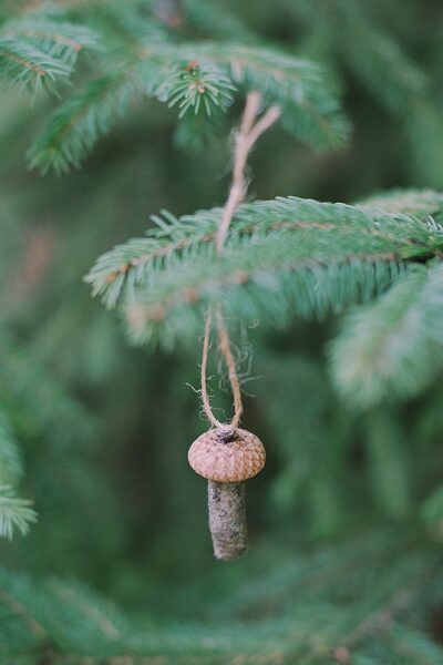 Craft charming Acorn Cap Mushroom Ornaments effortlessly with our step-by-step guide. Perfect for adding a whimsical touch to your holiday decor!