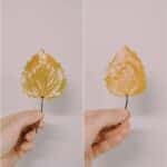 A look at using Matte vs Gloss Mod Podge to preserve fall leaves.