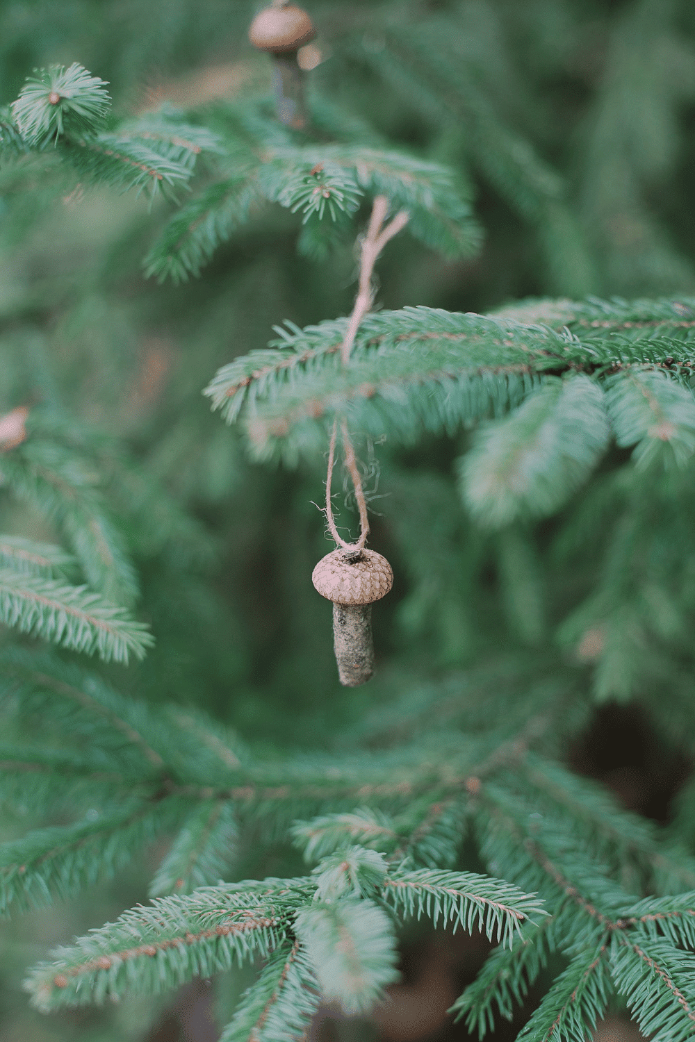How to Make Acorn Cap Mushroom Ornaments