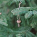How to make tiny acorn cap mushroom ornaments.