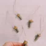 How to make tiny acorn cap mushroom ornaments.