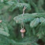 How to make tiny acorn cap mushroom ornaments.