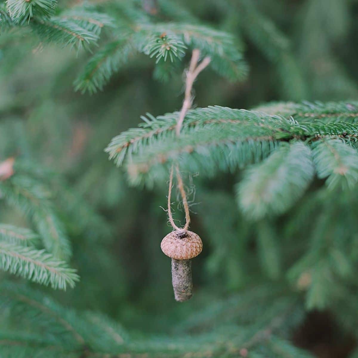 A tiny acorn cap mushroom ornament.