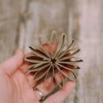 How to make a toilet paper flower garland for the mantel.