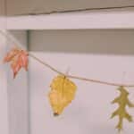 How to make a beeswax dipped leaf garland.