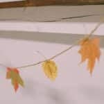 How to make a Mod Podge leaf garland for fall.