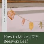 How to make a beeswax dipped leaf garland.