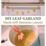 How to make a beeswax dipped leaf garland.