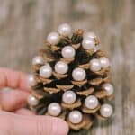 How to make a pearl pinecone tree.